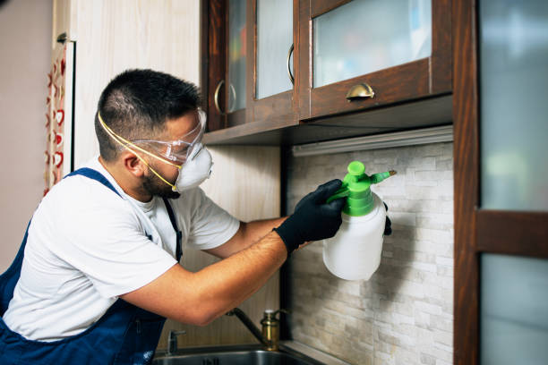 Best Wasp Removal Services  in Milam, TX