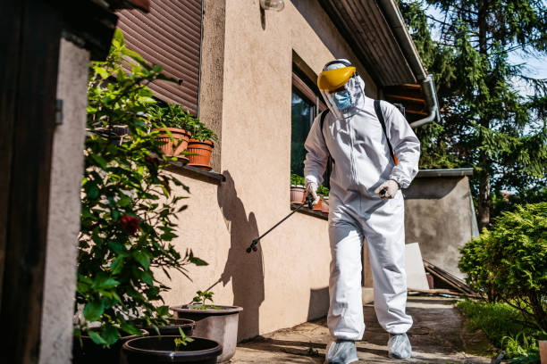 Best Residential Pest Control  in Milam, TX