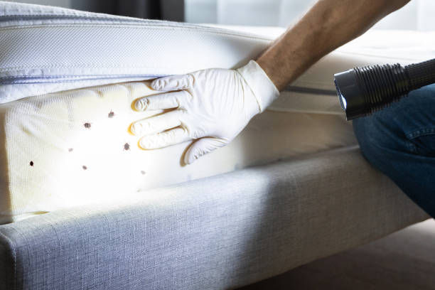 Best Affordable Pest Control Services  in Milam, TX