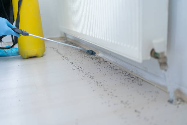 Best Pest Removal Services  in Milam, TX