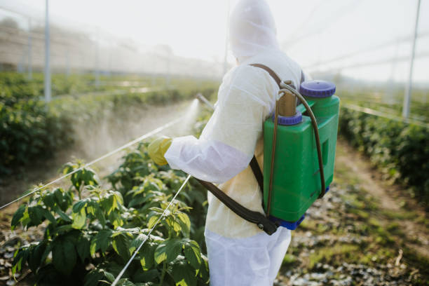 Best Local Pest Control Services  in Milam, TX